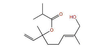 8-Hydroxylinalyl isobutyrate